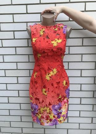 Мереживна сукня-футляр з відкритою спиною lipsy7 фото