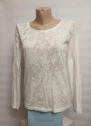 Блузка жіноча прозора літня легка блуза жіноча літнє легка