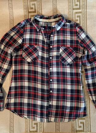 Рубашка у клітинку