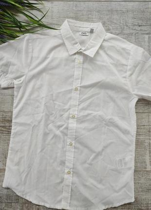 Сорочка класична ovs