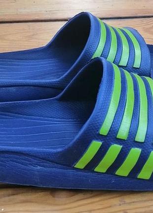 Шлепанцы adidas