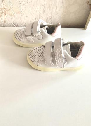 Кросівки apawwa