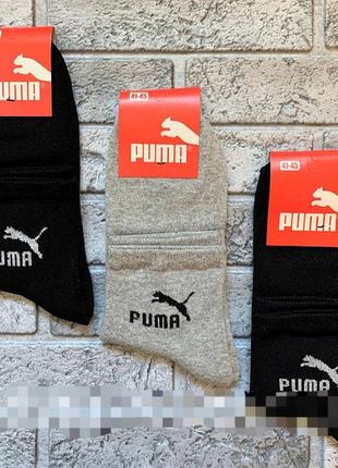 12 пар ассорти носки мужские "puma". 41-45р. средней высоты, демисезонные.