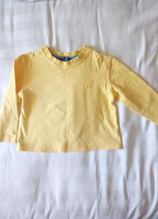 Яркая кофта реглан лонгслив на мальчика девочку 9-12 мес