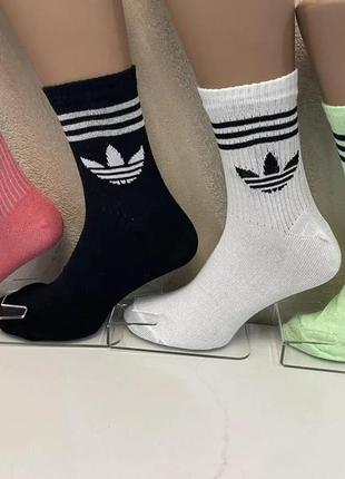 Носки демисезонные хлопок высокие с тенисной резинкой adidas размер 36-40 микс1 фото