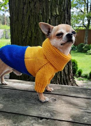 Вязаный свитер для маленькой собачки3 фото