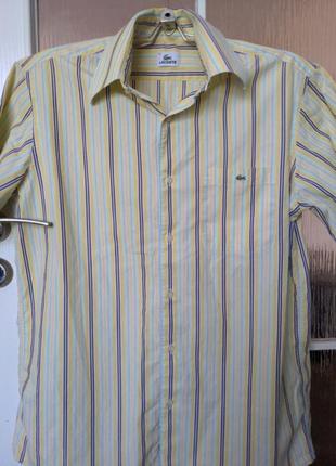 Оригинальная рубашка lacoste.