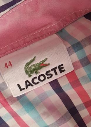 Сорочка сорочка блуза lacoste 4