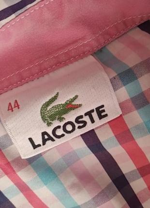 Сорочка рубашка блуза lacoste4 фото