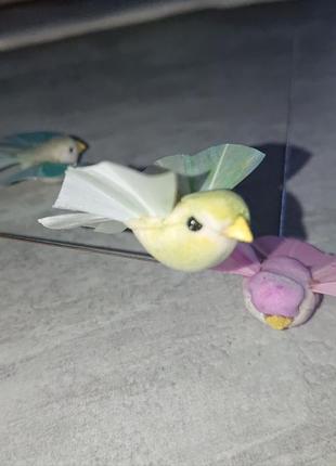Птицы 🐦 колибри птичка колибри есть расцветки декор подарки