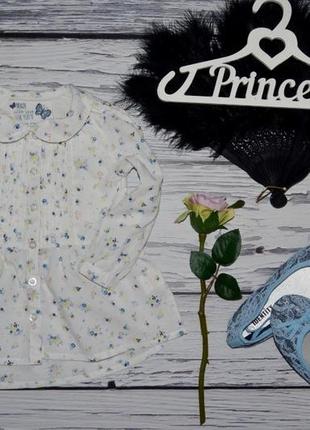 9 - 12 месяцев 80 см рубашка блузка блуза туника для маленькой модницы