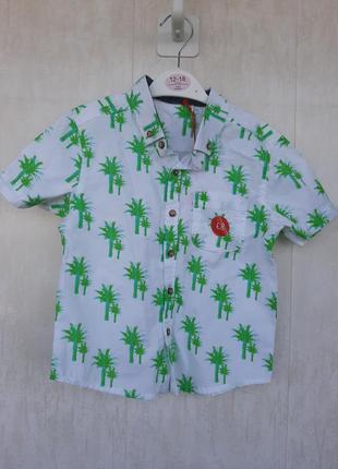 Хлопковая рубашка-шведка в пальмах
