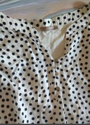 Блуза в горошок orsay2 фото