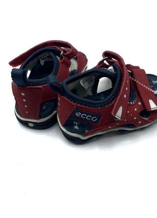 Ecco 6
