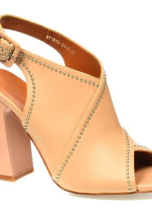 Жіночі моделі veritas код: 0332, розміри: 36, 37