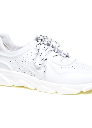 Жіночі кросівки alpino код: 089228, розміри: 37, 39