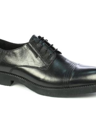 Чоловічі модельні туфлі vitto rosssi код: 4614, розміри: 40, 43