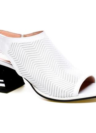 Жіночі шлепанці veritas код: 009807, останній розмір: 37