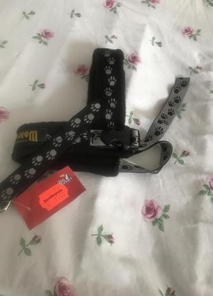 Шлея для прогулянок