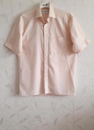 Брендовая тениска, 50-52?, хлопок, olymp