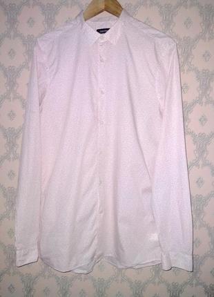 Розовая рубашка с длинным рукавом ck calvin klein
