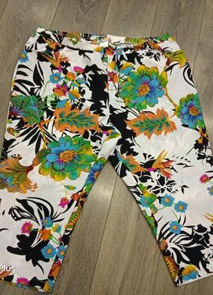 Яскраві, стильні капрі, бриджі, подовжені шорти великий розмір