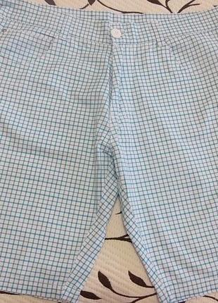 Шорты мужские (100% хлопок), размер l, фирменные