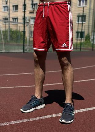 Спортивные шорты adidas (s-m)