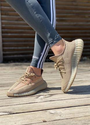 Жіночі кросівки adidas yeezy boost 350 v2 eliada5 фото