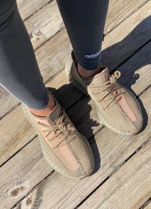 Жіночі кросівки adidas yeezy boost 350 v2 eliada9 фото
