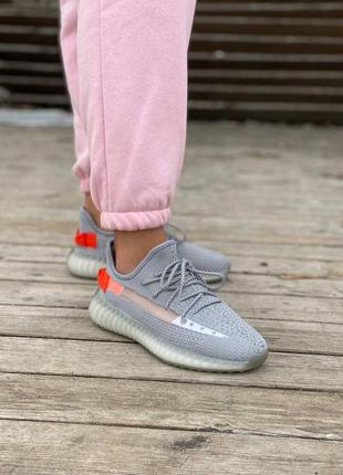 Жіночі кросівки adidas yeezy boost 350 v2 tail light