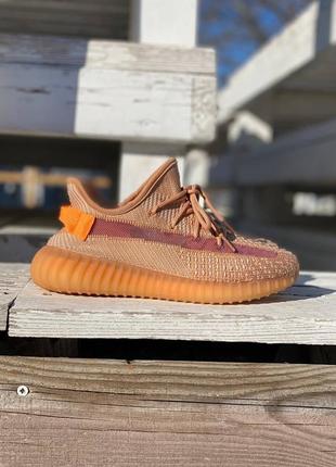 Жіночі кросівки adidas yeezy boost 350 v2 clay1 фото