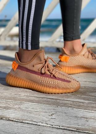 Жіночі кросівки adidas yeezy boost 350 v2 clay2 фото