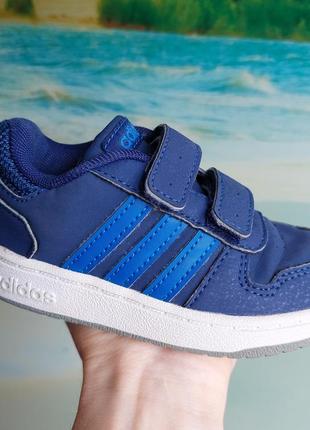 Кросівки adidas