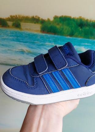 Кроссовки adidas3 фото