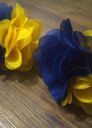 Желто-синие цветы1 фото