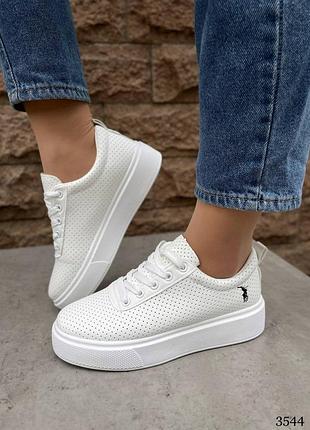 Кеды перфорация 🆕