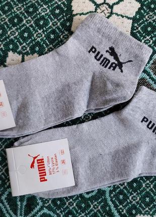 Чоловічі низькі спортивні шкарпетки puma - сірі шкарпетки пума