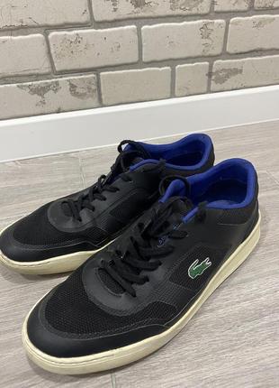 Чоловічі кеди lacoste
