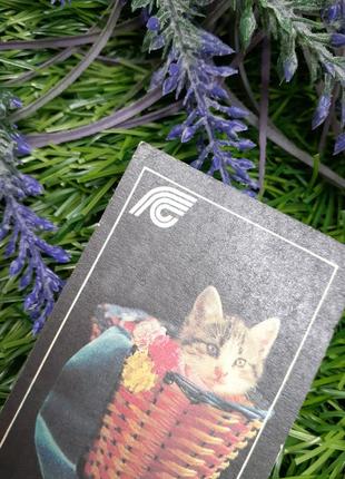 1991 год!🐈🌿 котенок в корзине котик кот винтажный карманный календарик радянська україна календарь советский госстрах держстрах страхование3 фото