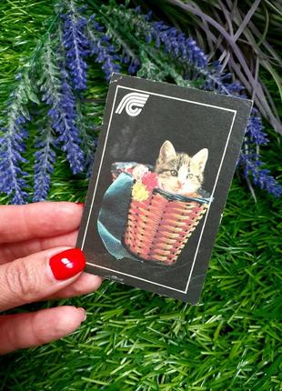 1991 рік!🐈🌿 кошеня в кошику котик кіт вінтажний кишеньковий календарик радянська україна календар радянський держстрах страхування держстрах