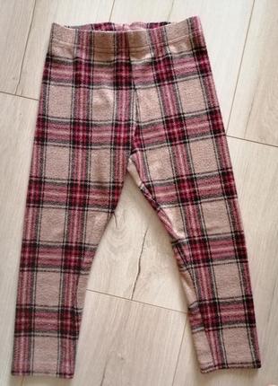 Лосінки, легінси, штани