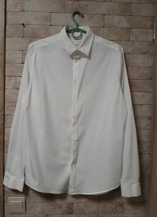 Белая базовая  рубашка3 фото