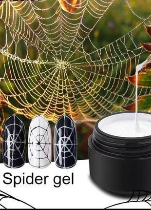 Павук для дизайну нігтів