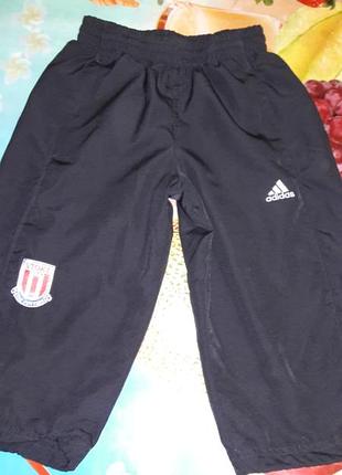 Шорты adidas 9-10лет