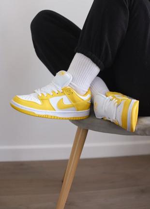 Кроссовки nike sb dunk low8 фото