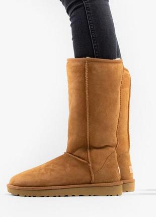 Оригінальні уггі чоботи ugg classic tall ii