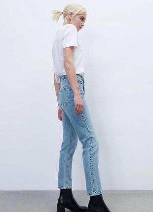 Топ mango 7