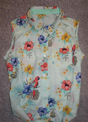 Фирменная блузка рубашка на 11-12 лет2 фото