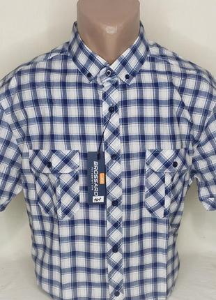 Мужская рубашка с коротким рукавом brossard vk-0101 голубая в клетку классическая хлопок, тенниска мужская